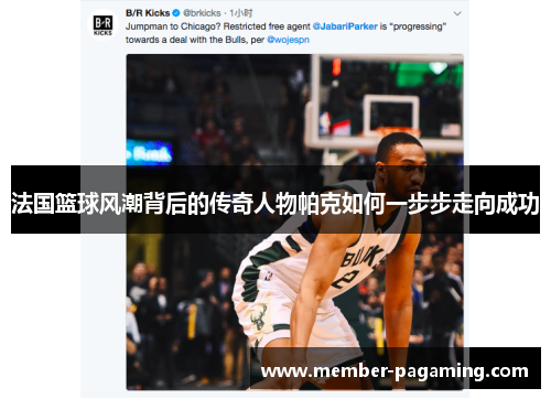 法国篮球风潮背后的传奇人物帕克如何一步步走向成功 法国篮球风潮背后的传奇人物帕克如何一步步走向成功