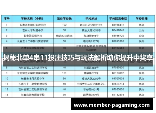 揭秘北单4串11投注技巧与玩法解析助你提升中奖率 揭秘北单4串11投注技巧与玩法解析助你提升中奖率