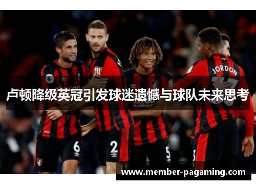 卢顿降级英冠引发球迷遗憾与球队未来思考