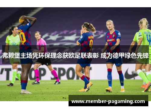 弗赖堡主场凭环保理念获欧足联表彰 成为德甲绿色先锋