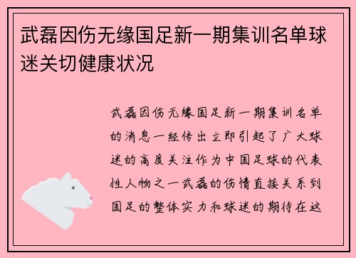 武磊因伤无缘国足新一期集训名单球迷关切健康状况 武磊因伤无缘国足新一期集训名单球迷关切健康状况